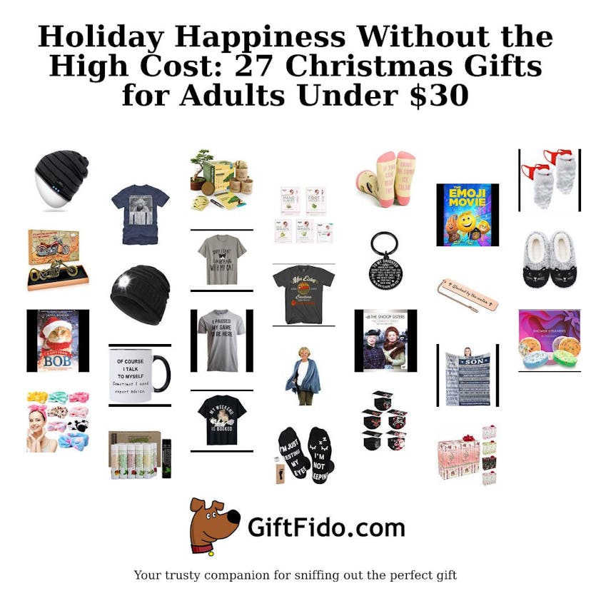 Holiday Happiness Without the High Cost: 27 Christmas Gifts for Adults Under $30
